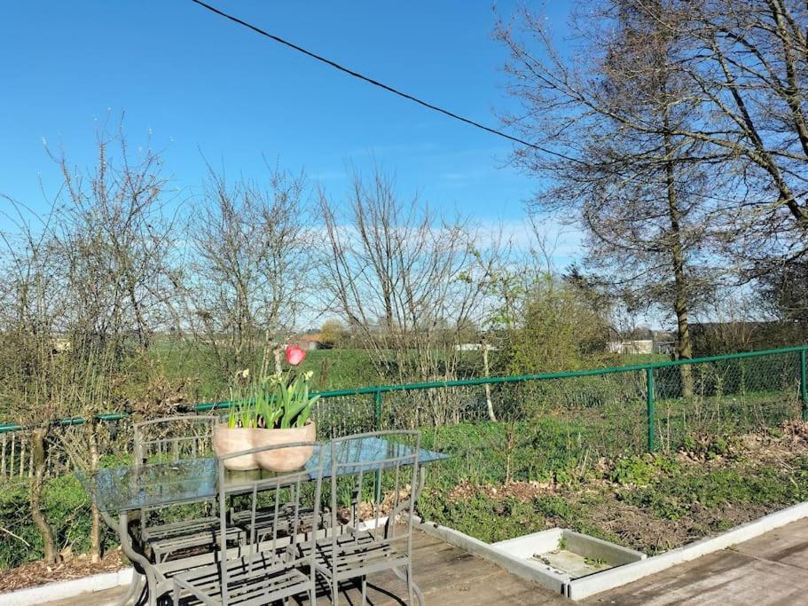 Gite Rural La Ferme Du Semeur-Zaaiershof Lessines Dış mekan fotoğraf
