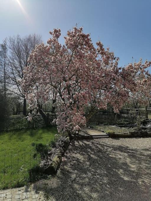 Gite Rural La Ferme Du Semeur-Zaaiershof Lessines Dış mekan fotoğraf
