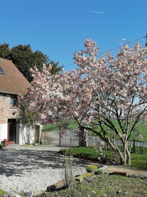 Gite Rural La Ferme Du Semeur-Zaaiershof Lessines Dış mekan fotoğraf